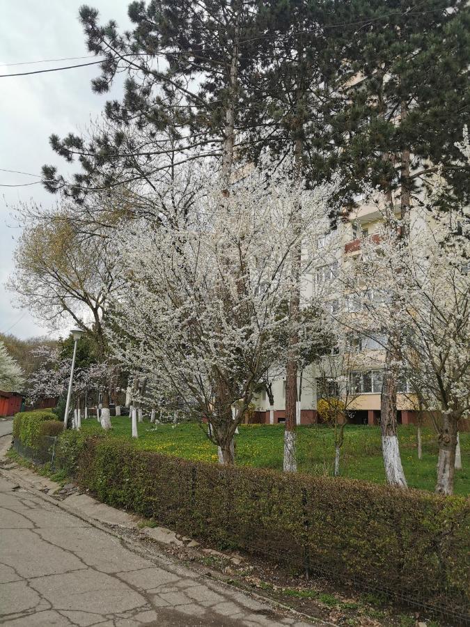 Apartament Maysa Cluj-Napoca Exterior photo